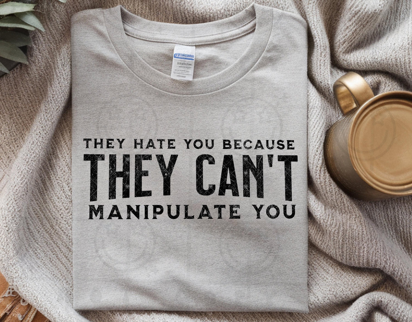 They hate you because they can't manipulate you single color png snarky digital download
