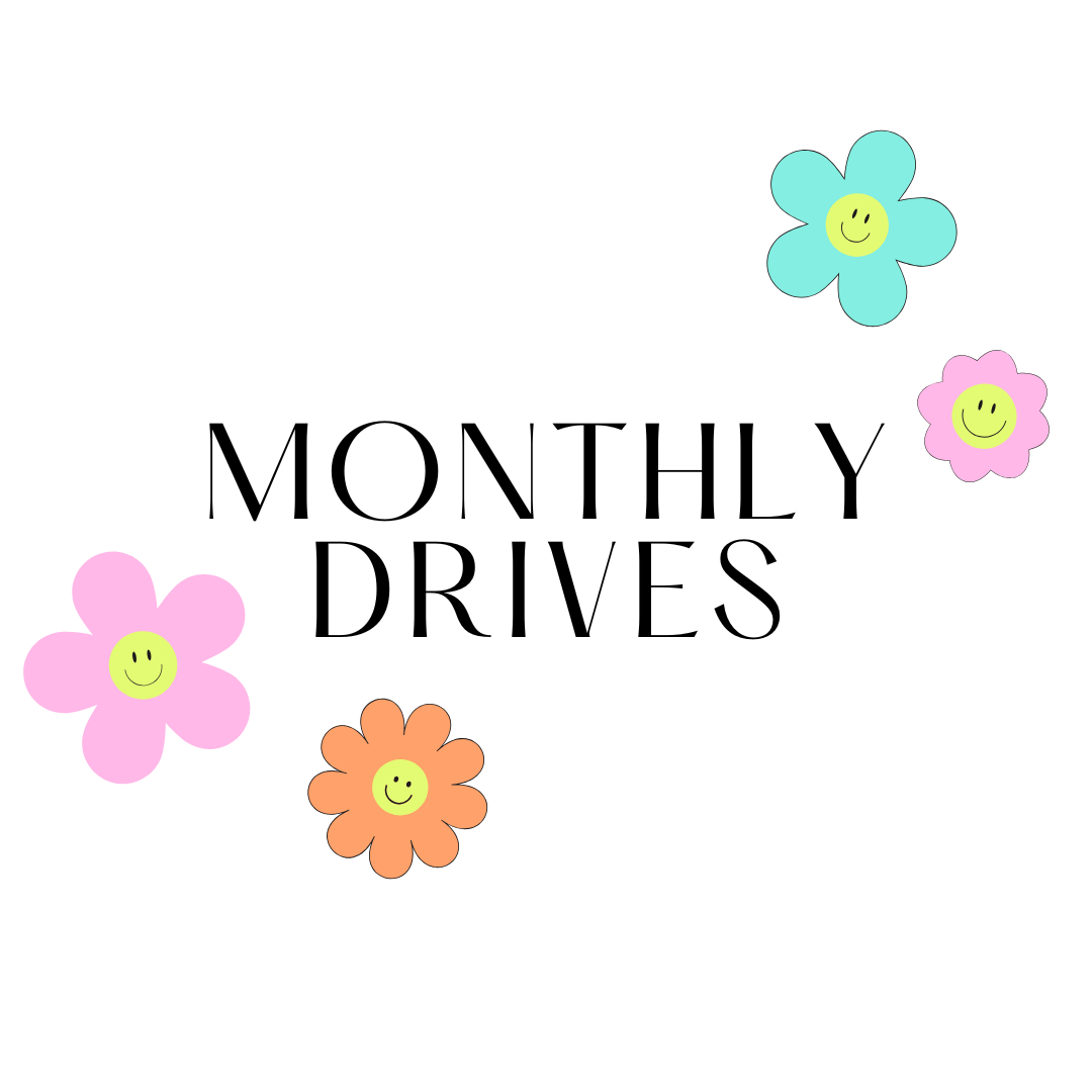 MONTHLY GOOGLE DRIVES