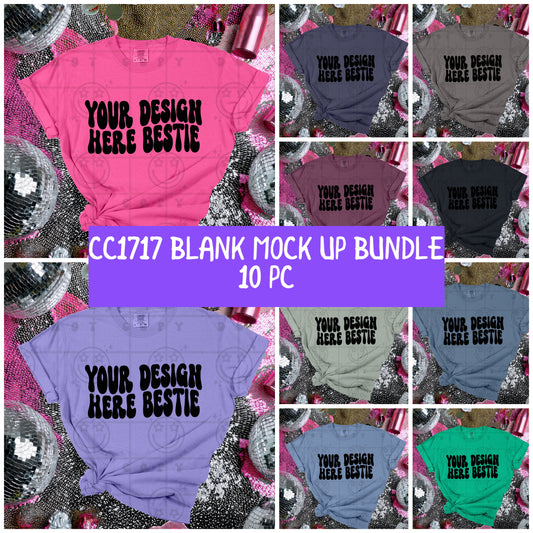 CC1717 Pink Party Themed| 10pc Comfort Colors Tee Blank Mock up BUNDLE