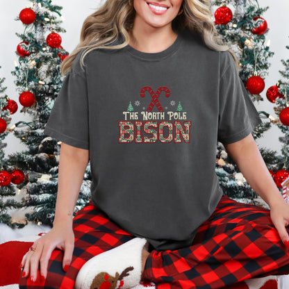 Bison Christmas themed Mascot PNG Christmas School Spirit, Holiday Mascot, Game day Christmas Festive, Faux Embroidery Digital Download