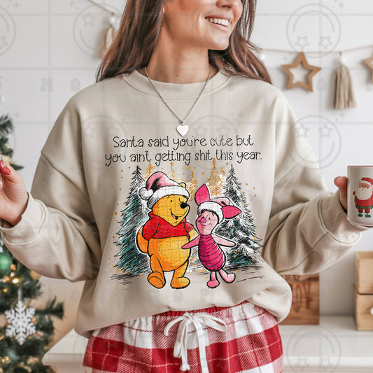 Santa said youre cute but you aint getting shit PNG Digital download