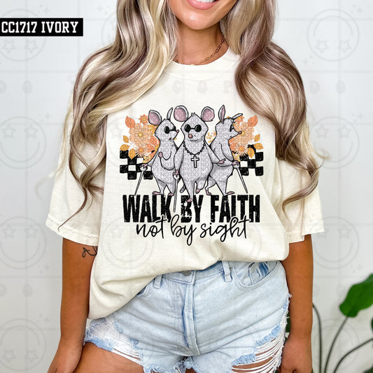 Walk by faith not by sight PNG
